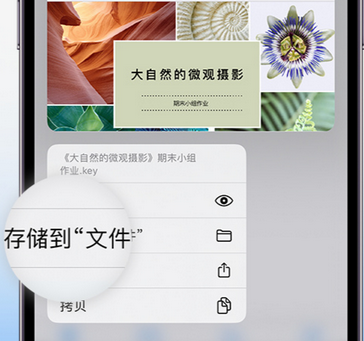 运城apple维修中心分享iPhone文件应用中存储和找到下载文件