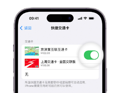 运城apple维修点分享iPhone上更换Apple Pay快捷交通卡手绘卡面 