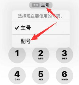 运城苹果14维修店分享iPhone 14 Pro Max使用副卡打电话的方法 