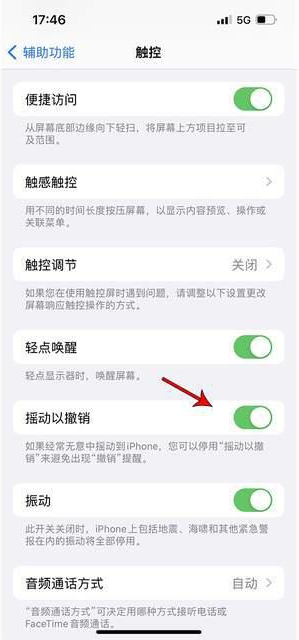 运城苹果手机维修分享iPhone手机如何设置摇一摇删除文字 